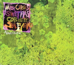 Animal Collective – Water Curses