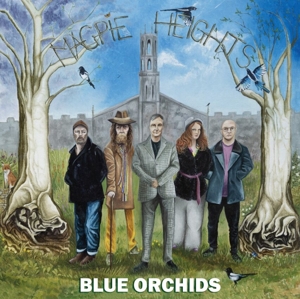 Blue Orchids – Magpie Heights