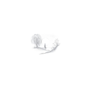 Birds of Passage – Without the World