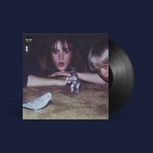 Big Thief – Masterpiece