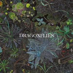 Dragonflies – Dragonflies