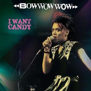 Bow Wow Wow – I Want Candy (Pink/Black Stripe)