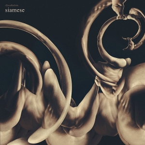 Siamese – Dissolution