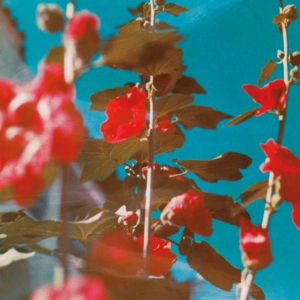 Chad Lawson – Breathe