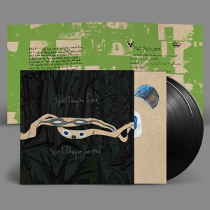 Animal Collective – Spirit They're Gone, Spirit They've Vanished