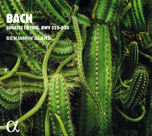 Alard, Benjamin – Bach: Sonates En Trio, Bwv 525-530