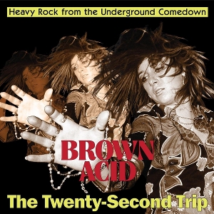 V/A – Brown Acid: the 22 Trip
