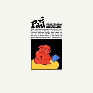 Peel Dream Magazine – Pad