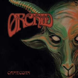 Orchid – Capricorn