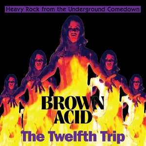 V/A – Brown Acid: the Twelfth Trip