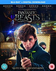 Movie – Fantastic Beasts and Where To Find Them