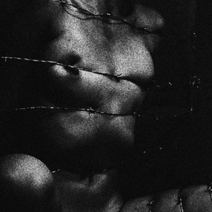 Clavicvla – Degeneracy of the 5th Density