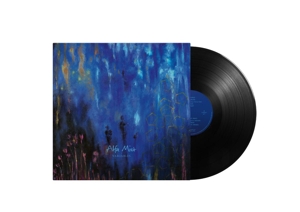 Alfa Mist – Variables