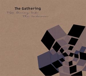Gathering – Tg25: Diving Into the Unknown