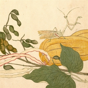 Chypho – Entomongaku