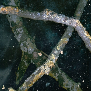 Saaadon – Mpetb
