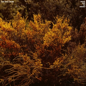 Cantu-Ledesma, Jefre – Tracing Back the Radiance