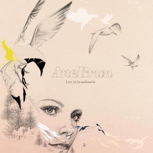 Brun, Ane – Live In Scandinavia