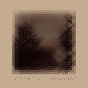 Gusset, Matthias – Inbetween Birdsongs