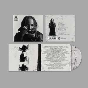 Thundercat – Distracted