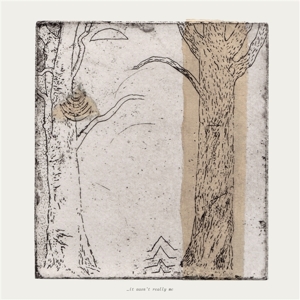 V/A – It Wasn't Really Me