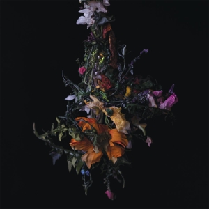 Big Brave – Nature Morte