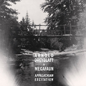 Dreyblatt, Arnold – Appalachian Excitation
