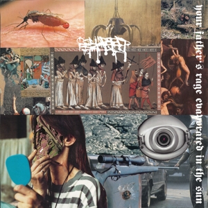Collapsed Skull – Your Father's Rage Evaporated In the Sun