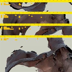Awe Kid – Body Logic