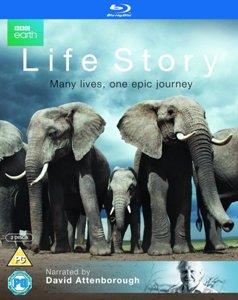 Movie – Life Story