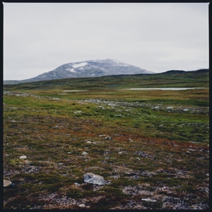 Tundra – Gidge