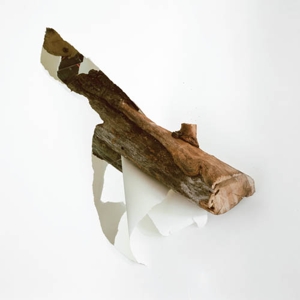 Balmorhea – Heir