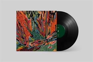 Akusmi – Terra Incognita