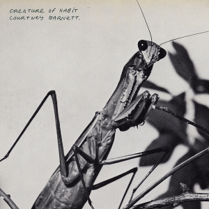 Barnett, Courtney – Creature of Habit