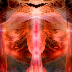 Schutze, Paul – The Annihilating Angel; or, the Surface of the World
