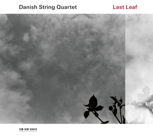 Danish String Quartet – Last Leaf