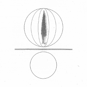 O'Malley, Stephen – Spheres Collapser