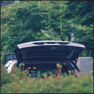 Ishibashi, Eiko & Jim O'Rourke – Pareidolia