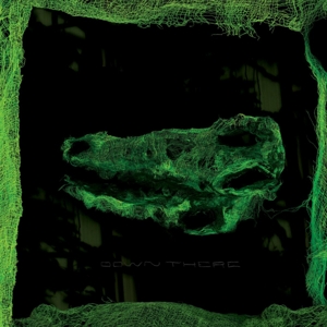 Avey Tare – Down There