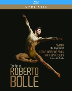 Bolle, Roberto – Art of Roberto Bolle