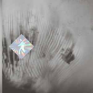 Discovery Zone – Quantum Web