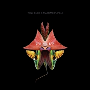 Buck, Tony & Massimo Pupillo – Unseen