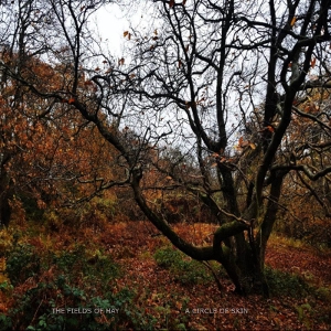 Fields of Hay – A Circle of Skin