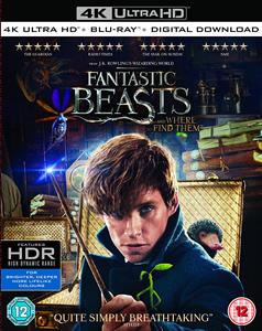 Movie – Fantastic Beasts and Where To Find Them