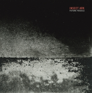 Insect Ark – Future Fossils