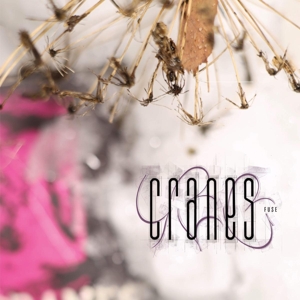 Cranes – Fuse