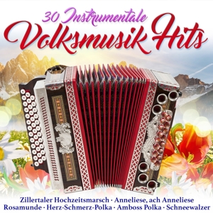V/A – 30 Instrumentale Volksmusik Hits