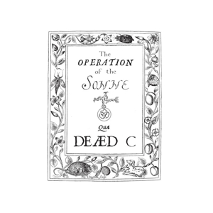 Dead C – Operation of the Sonne