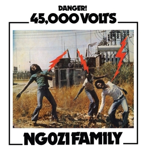 Ngozi Family – 45,000 Volts