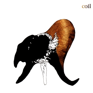 Coil – Black Antlers